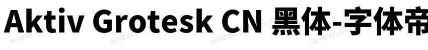 Aktiv Grotesk CN 黑体字体转换